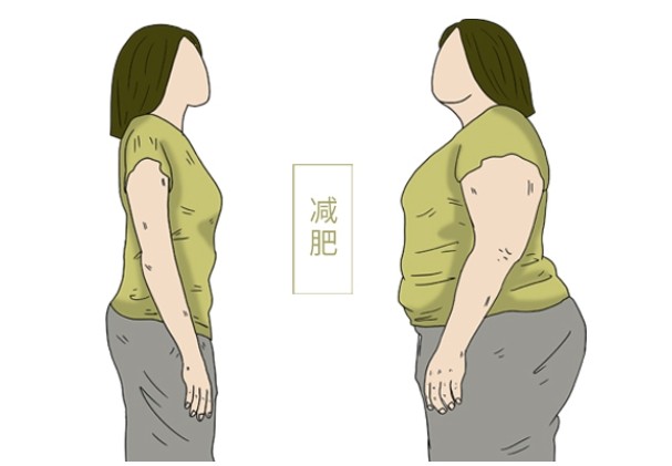 胖的人怎样才能瘦下来？王涛博士的营养调理为您提供解决方案！